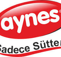 AYNES