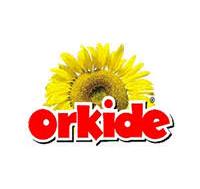 ORKİDE