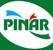 PINAR