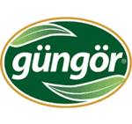 GÜNGÖR